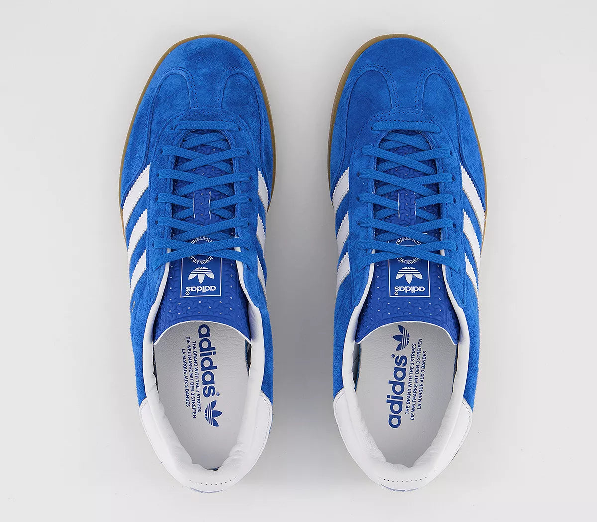 Adidas Gazelle Indoor - Blue Bird